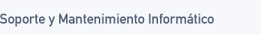 Soporte y Mantenimiento Inform&aacute;tico